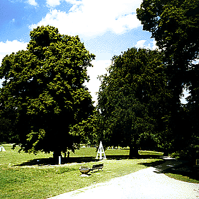 A im Park